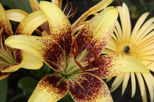 Fotografia de juanperez1949 - Galeria Fotografica: Naturaleza - Foto: 