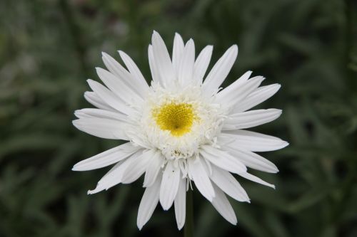 Fotografia de juanperez1949 - Galeria Fotografica: Naturaleza - Foto: 