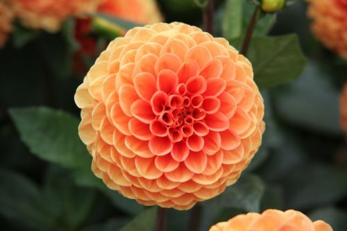 Fotografia de juanperez1949 - Galeria Fotografica: Naturaleza - Foto: 