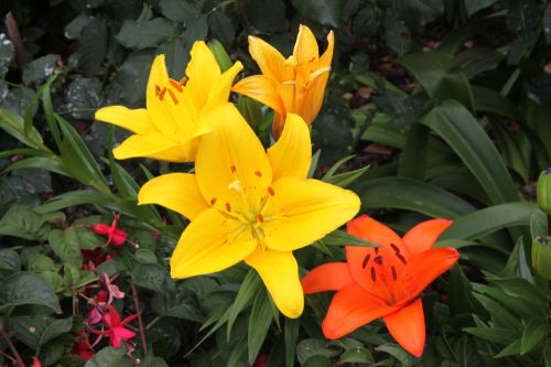 Fotografia de juanperez1949 - Galeria Fotografica: Naturaleza - Foto: 