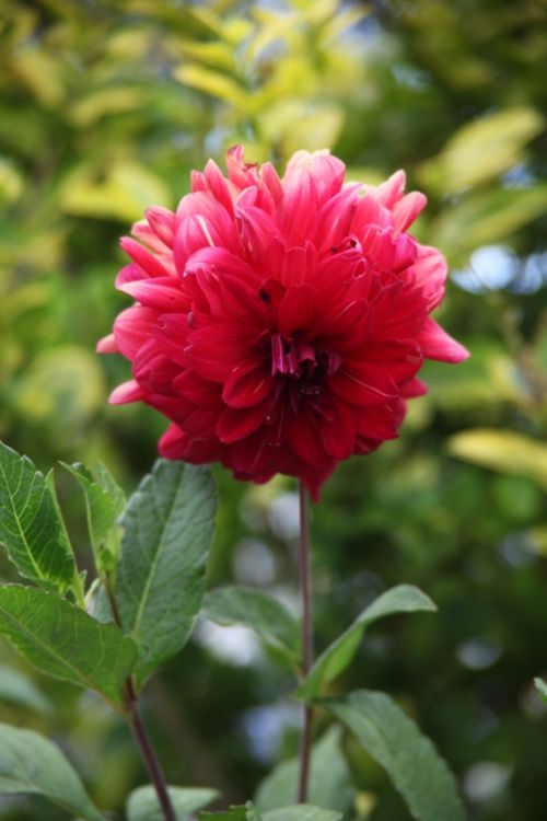 Fotografia de juanperez1949 - Galeria Fotografica: Naturaleza - Foto: 