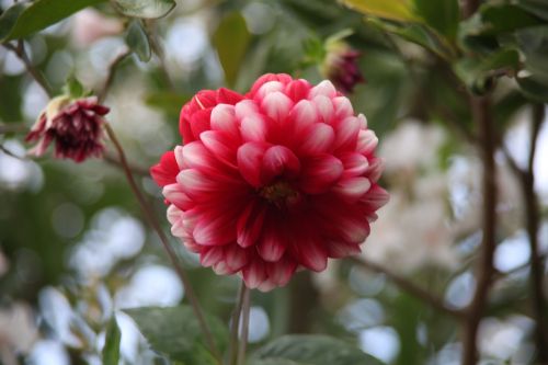 Fotografia de juanperez1949 - Galeria Fotografica: Naturaleza - Foto: 