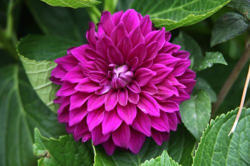 Fotografia de juanperez1949 - Galeria Fotografica: Naturaleza - Foto: 