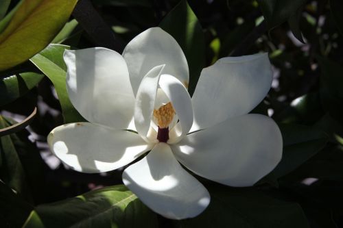 Fotografia de juanperez1949 - Galeria Fotografica: Naturaleza - Foto: 