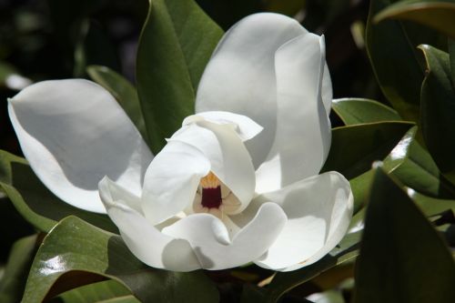 Fotografia de juanperez1949 - Galeria Fotografica: Naturaleza - Foto: 