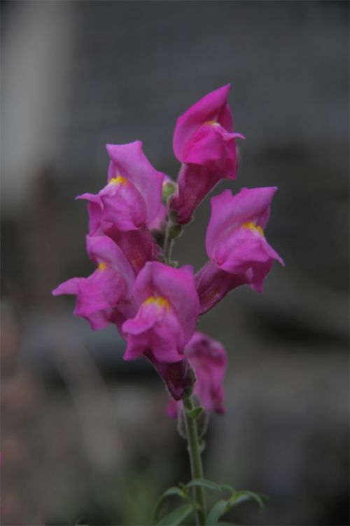 Fotografia de juanperez1949 - Galeria Fotografica: Naturaleza - Foto: 