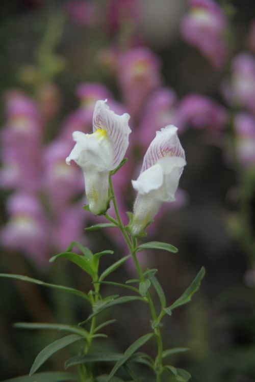 Fotografia de juanperez1949 - Galeria Fotografica: Naturaleza - Foto: 