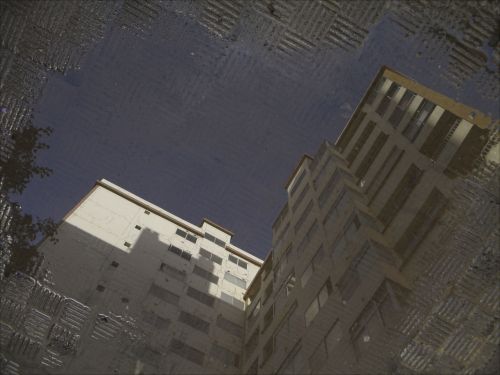 Fotografia de nears - Galeria Fotografica: Rules & Momentos  - Foto: LLueve al alba