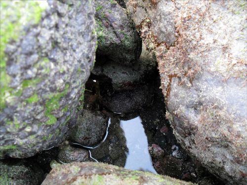 Fotografia de nears - Galeria Fotografica: Rules & Momentos  - Foto: Entre un mar