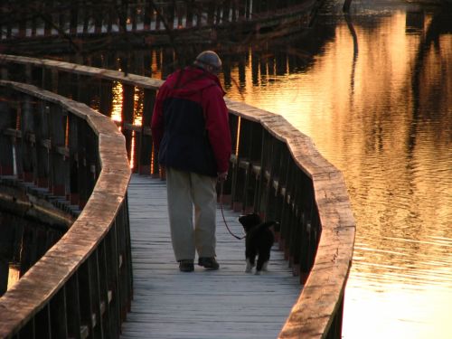 Fotografia de Gracia B. - Galeria Fotografica: Composicin toscana - Foto: paseo