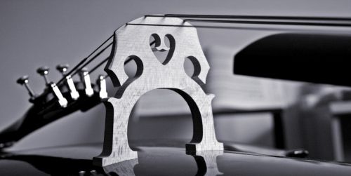 Fotografia de jorge jurado - Galeria Fotografica: varios - Foto: detalle de cello