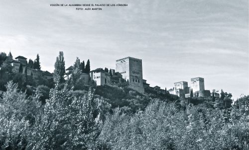 Fotografia de AXEL - Galeria Fotografica: GRANADA DESDE OTRO PUNTO DE VISTA - Foto: 