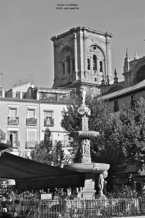 Fotografia de AXEL - Galeria Fotografica: GRANADA DESDE OTRO PUNTO DE VISTA - Foto: 