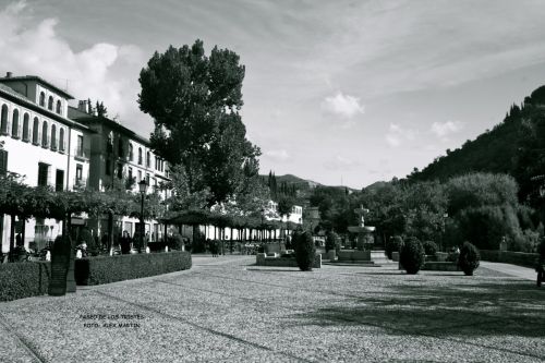 Fotografia de AXEL - Galeria Fotografica: GRANADA DESDE OTRO PUNTO DE VISTA - Foto: 