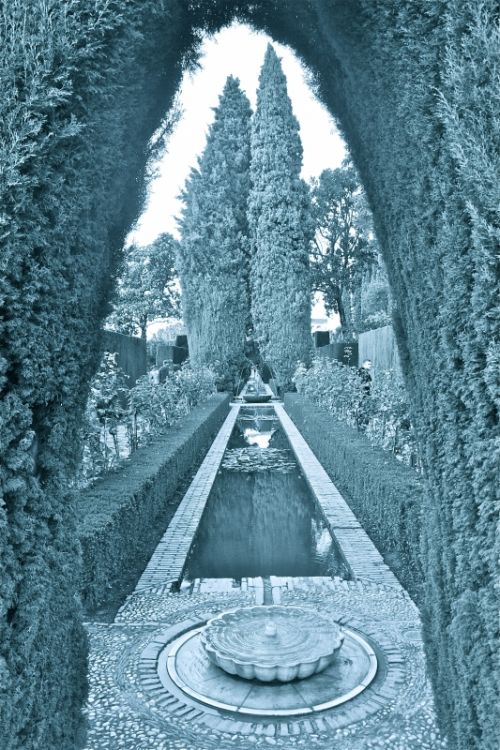 Fotografia de AXEL - Galeria Fotografica: GRANADA DESDE OTRO PUNTO DE VISTA - Foto: 