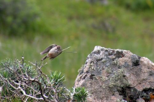 Fotografia de juanperez1949 - Galeria Fotografica: Naturaleza - Foto: 
