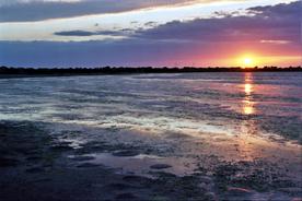 Fotografia de Sin Nombre - Galeria Fotografica: Arles and Provence - Foto: 