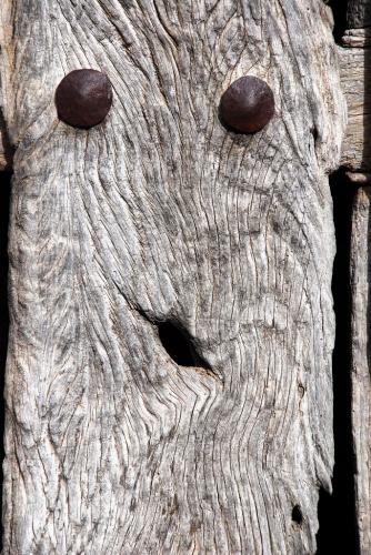 Fotografia de Tisamo - Galeria Fotografica: NATURA - Foto: NATUR MUERTA