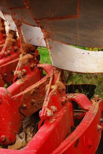 Fotografia de Tisamo - Galeria Fotografica: NATURA - Foto: APERO