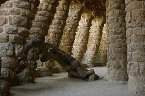 Fotografia de nic - Galeria Fotografica: practica - Foto: 