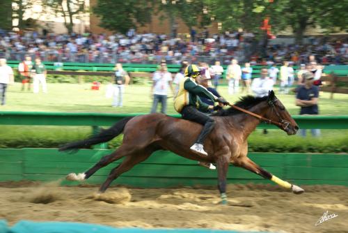 Fotografia de Carlos Checa - Galeria Fotografica: Ferrara (Italia 2007) - Foto: Palio