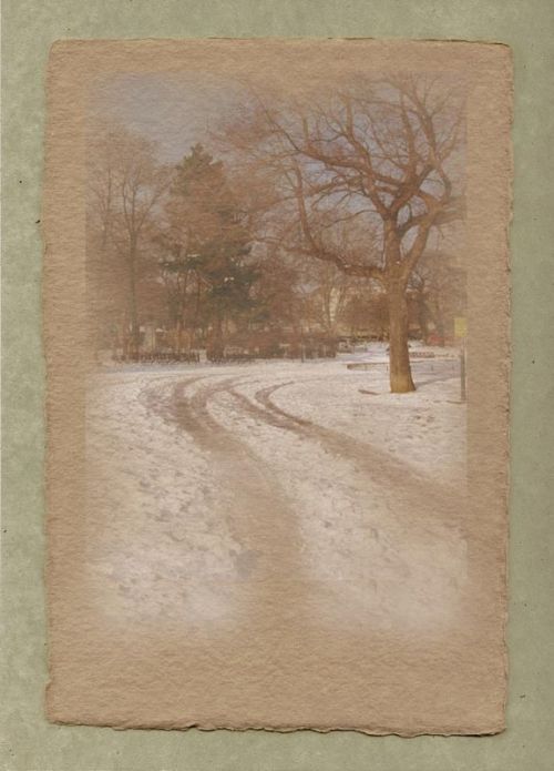 Fotografia de adolfo de los santos - Galeria Fotografica: Arte fotogrfico - Foto: Viena nevada