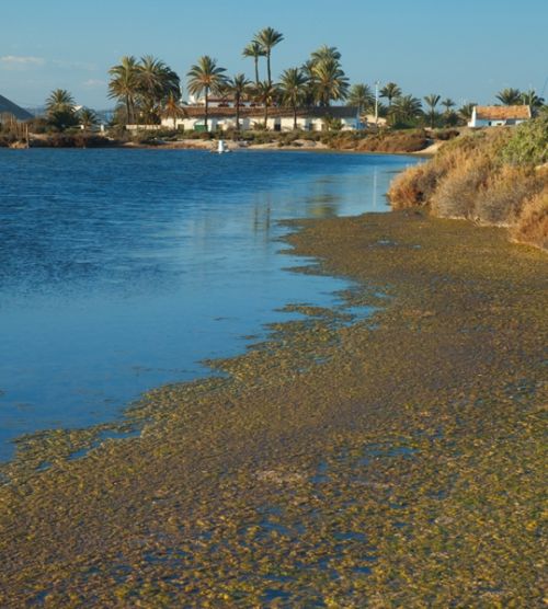 Fotografia de Juan Jimnez Montero - Galeria Fotografica: El litoral de La Regin de Murcia - Foto: Salinas de San Pedro del Pinatar