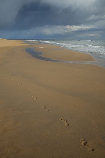 Fotografia de Juan Jimnez Montero - Galeria Fotografica: El litoral de La Regin de Murcia - Foto: Calblanque
