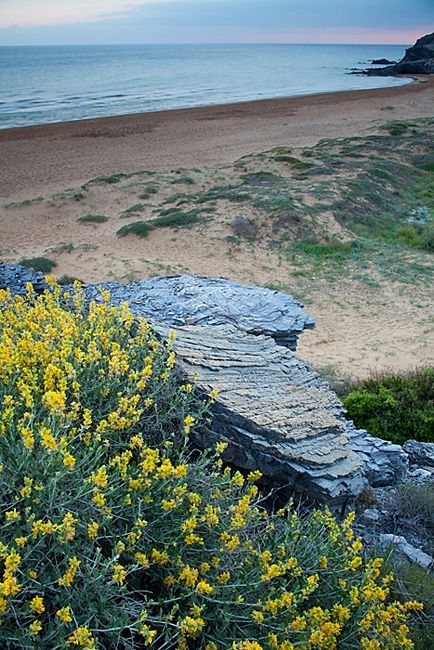 Fotografia de Juan Jim�nez Montero - Galeria Fotografica: El litoral de La Regi�n de Murcia - Foto: Calblanque