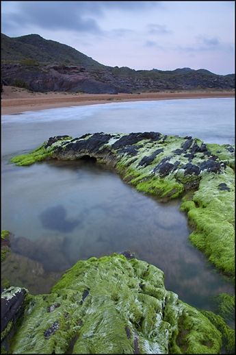 Fotografia de Juan Jimnez Montero - Galeria Fotografica: El litoral de La Regin de Murcia - Foto: Calblanque