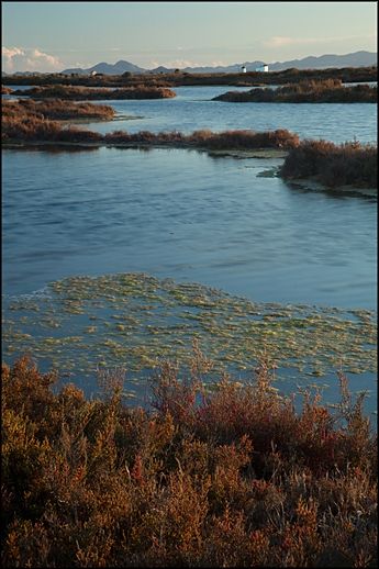 Fotografia de Juan Jimnez Montero - Galeria Fotografica: El litoral de La Regin de Murcia - Foto: Salinas de San Pedro del Pinatar