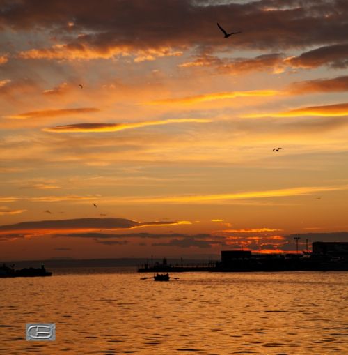 Fotografia de CB - Galeria Fotografica: As we were sailing - Foto: Una trainera entrenando en Santa Pola