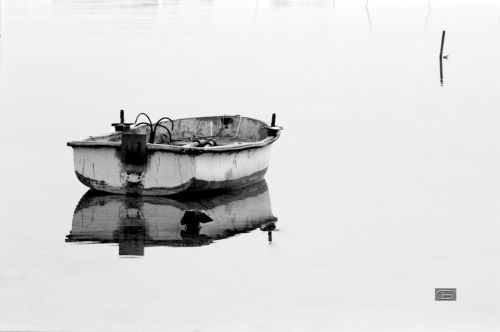 Fotografia de CB - Galeria Fotografica: As we were sailing - Foto: Calma y sencillez