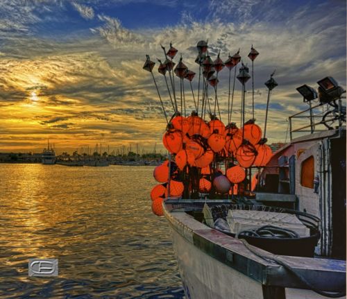 Fotografia de CB - Galeria Fotografica: As we were sailing - Foto: Palangres en puerto