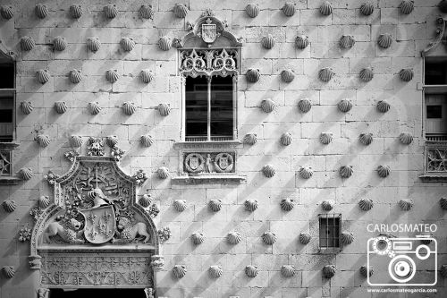 Fotografia de Carlos MATEO - Galeria Fotografica: Noticias - Foto: Salamanca