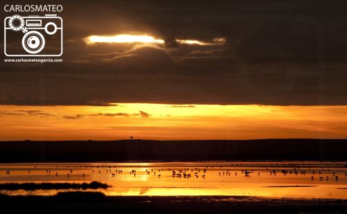 Fotografia de Carlos MATEO - Galeria Fotografica: Noticias - Foto: Villaffila