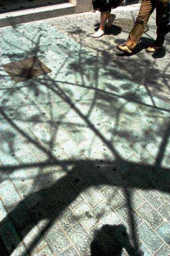 Fotografia de Javier Fuentes - Galeria Fotografica: formas cotidianas - Foto: forma7