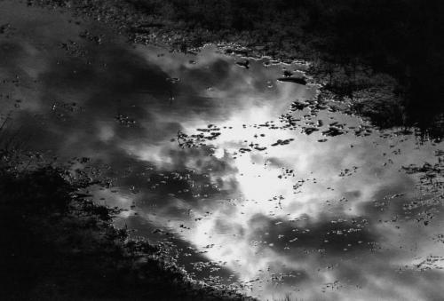 Fotografia de Fotografiaweb.com - Galeria Fotografica: L`Albufera - Foto: Reflejo