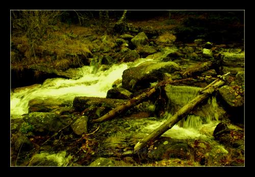 Fotografia de Namtaru - Galeria Fotografica: Winter Call - Foto: El ro