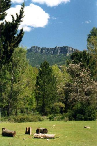 Fotografia de Fotografiaweb.com - Galeria Fotografica: Sierra de Cazorla - Foto: Troncos