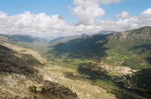 Fotografia de chamaleone - Galeria Fotografica: Las aguas de nadie - Foto: Parece por fin que va a llover