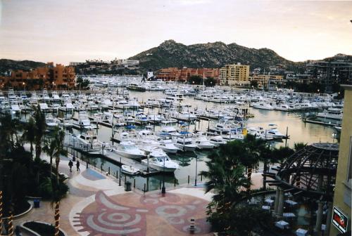 Fotografia de artsfot - Galeria Fotografica: Carpeta de trabajo - Foto: Marina