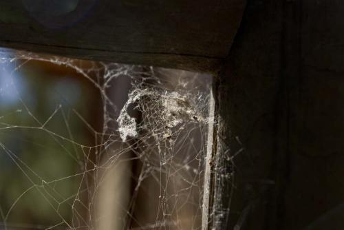 Fotografia de Jose Bueno - Galeria Fotografica: Garan - Foto: 