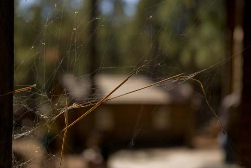 Fotografia de Jose Bueno - Galeria Fotografica: Garan - Foto: 