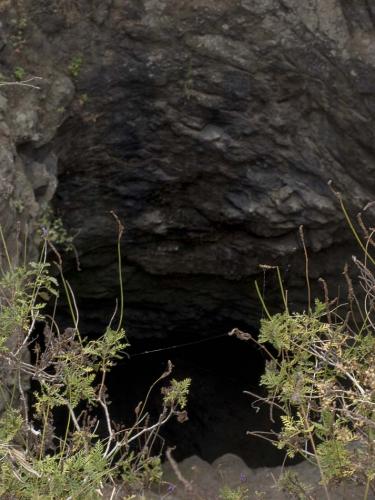 Fotografia de Jose Bueno - Galeria Fotografica: Garan - Foto: 