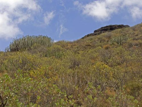 Fotografia de Jose Bueno - Galeria Fotografica: Garan - Foto: 