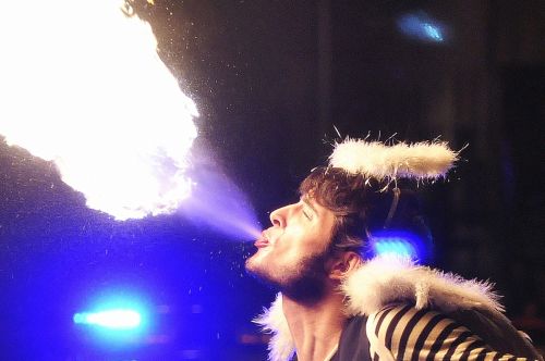 Fotografia de SOCIETYPHOTONATURE - Galeria Fotografica: SCPTN - Foto: 