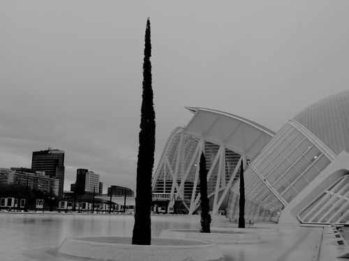 Fotografia de J. Garca - Galeria Fotografica: arquitecturas confrontadas - Foto: cipres