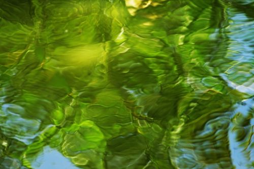 Fotografia de kokoy  photographer  cancun - Galeria Fotografica: ARTE - Foto: 