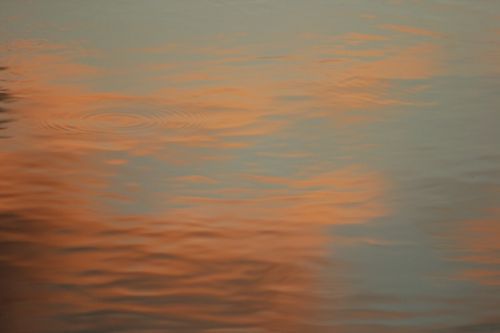 Fotografia de kokoy  photographer  cancun - Galeria Fotografica: ARTE - Foto: 